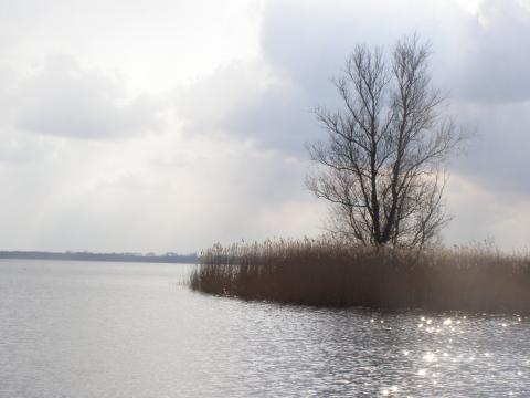 Watersportbedrijf De Rietzoom Kropswolde