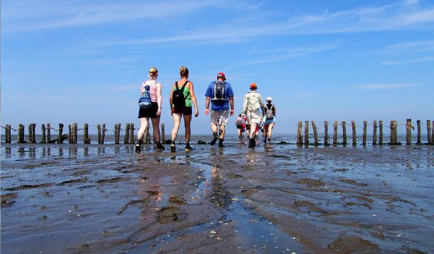 Wadlopen Pieterburen - Natuurlijk Noorden