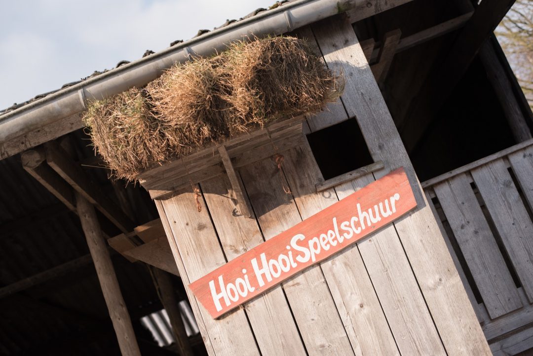 Boerderijbeleving Op Hoeve Sonneclaer Fluitenberg Natuurlijk Noorden Boerderijbeleving Op Hoeve Sonneclaer Fluitenberg Natuurlijk Noorden